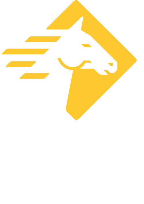 Paladin Security