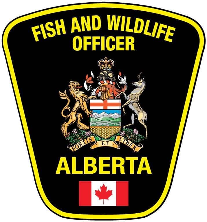 Alberta Fish and Wildlife Enforcement