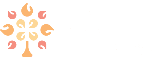 The Flare Initiative